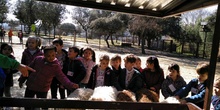 Granja Escuela "El Álamo". Infantil 4-5 años 9