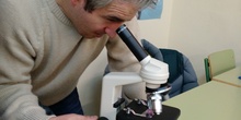 Usando el microscopio 10