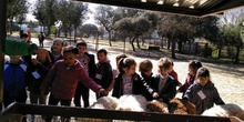 Granja Escuela "El Álamo". Infantil 4-5 años 6