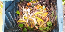 El huerto en febrero_Compost_CEIP FDLR_Las Rozas
