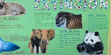 Proyecto animales en extinción 11