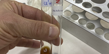 fehling sacarosa y sacarosa hidrolizada