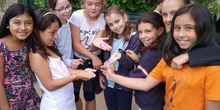 2019_06_07_Los alumnos de Quinto observan los insectos del huerto_CEIP FDLR_Las Rozas 22