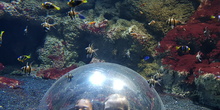 Aquarium Xanadú II 3ºB  9