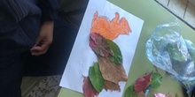 Autumn in Colmenar Viejo. 3th Grade, Arts. 4