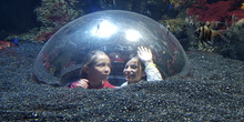 Aquarium Xanadú II 3ºB  15