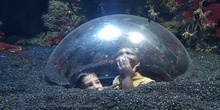 Aquarium Xanadú II 3ºB  11