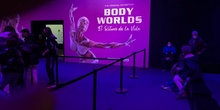 Visita "Body Worlds" en IFEMA, Madrid, 17 de marzo de 2022