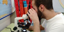 Usando el microscopio 9