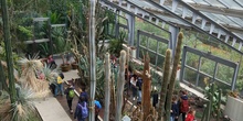 Fotos visita Museo CCNN y Botánico 8