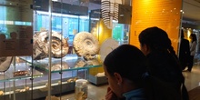 Salida museo de Ciencias Naturales