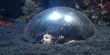 Aquarium Xanadú II 3ºB  14