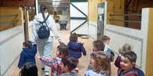 Infantil 3 años en la granja_CEIP FDLR_Las Rozas