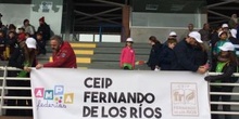 2018-04-09_Olimpiadas Escolares_CEIP FDLR_Las Rozas_Gradas 1