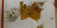 Arts- Creaciones con hojas de otoño