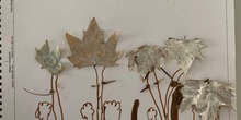 Arts- Creaciones con hojas de otoño