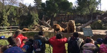 Excursión al zoo 5 años, 1º y 2º Luis Bello 22