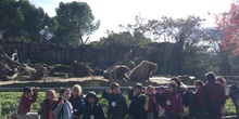 Excursión al zoo 5 años, 1º y 2º Luis Bello 25