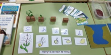 Primera Ponencia Montessori Infantil